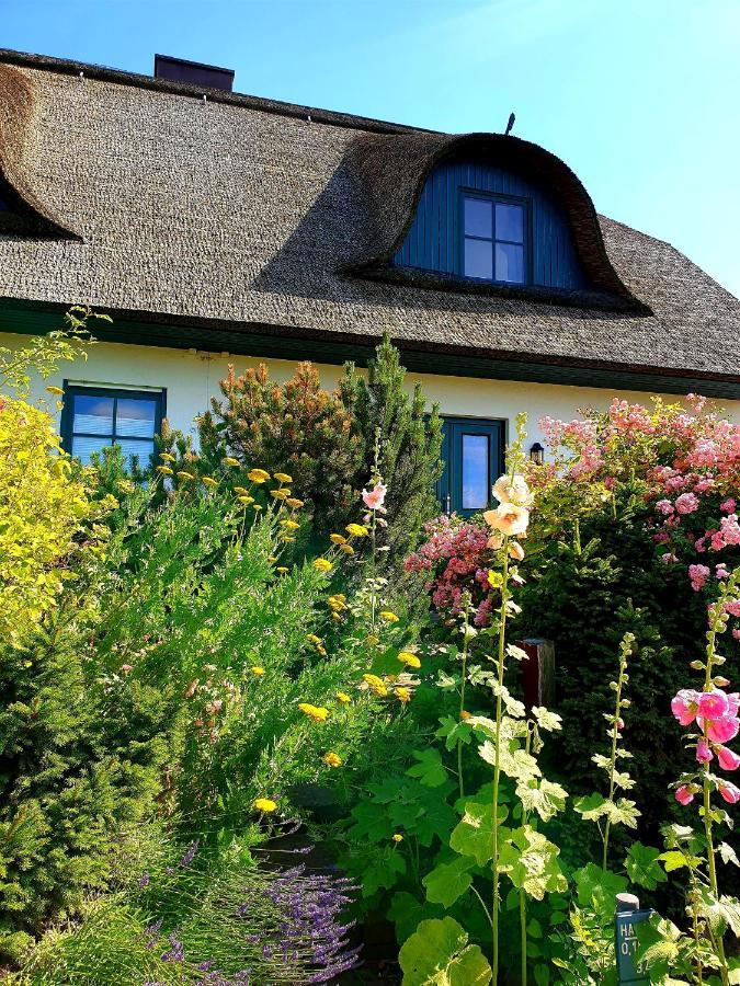 Willa Insel Landhaus Bernstein Gager Zewnętrze zdjęcie